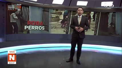 ¡Cuidado con los roba perros! ‘Sky’ y ‘Bender’ fueron sustraídos de sus casas