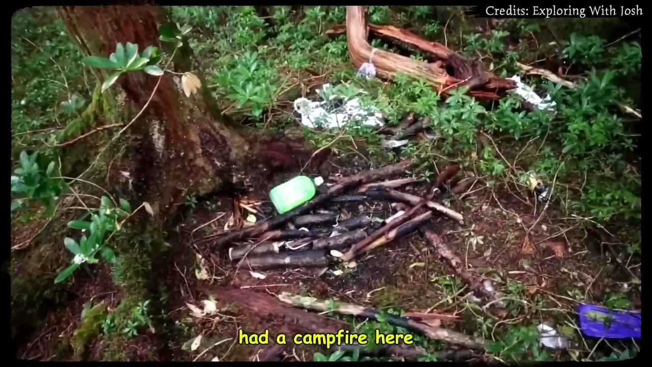 Caught in the Woods: 6 Creepiest Camping Encounters Ever Filmed