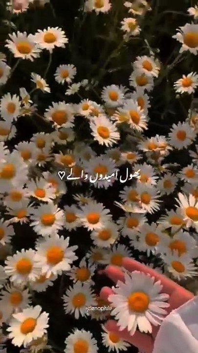 82a7ab914ca3a4eef1adf1a35837d509