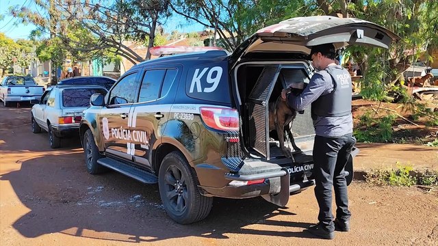 Após suspeita de tráfico no Bairro Periolo, cadela Raika ajuda investigadores a localizarem drogas