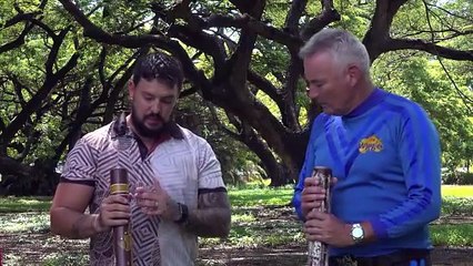 Darwin Saltwater Cultural Tours  Holiday the Wiggly Way!  The Wiggles   #Australia