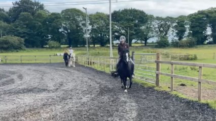 Pony decides enough is enough and launches the rider into fence