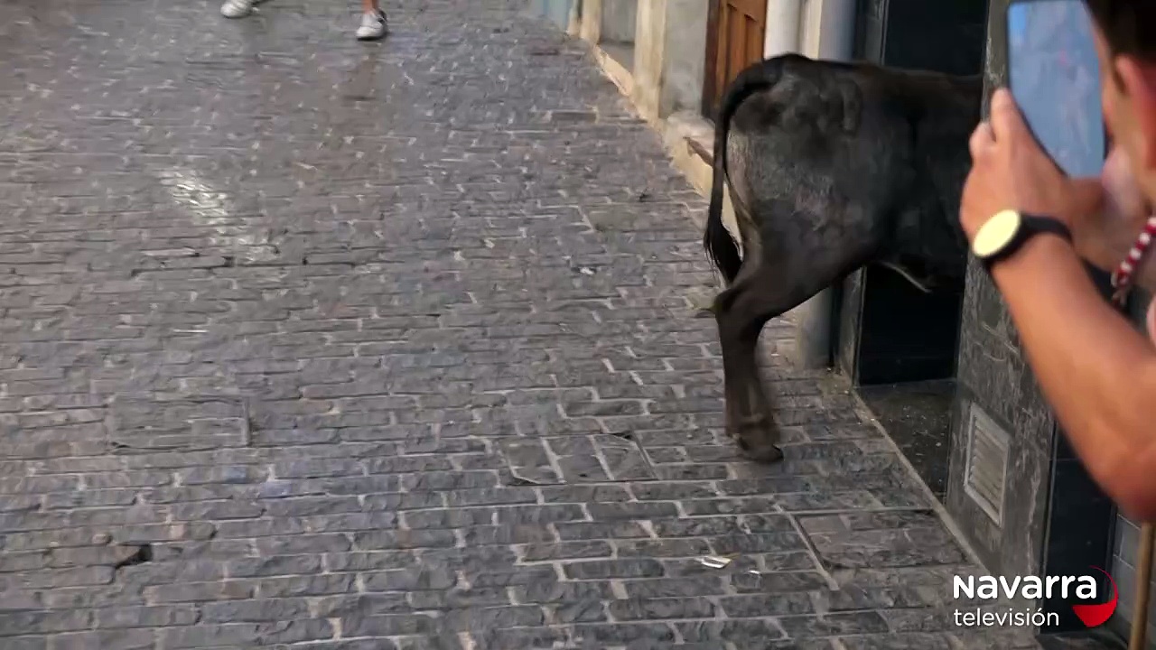 Una vaquilla rompe un portal en el encierro de Estella