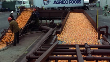 which way is up / 1977  richard pryor comedy  movie