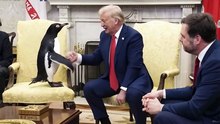 M-1cDIxVt8QBREAKING Penguin prime minister of McDonald Islands reach a tariffs agreement with Trump