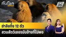 สวนสัตว์เยอรมันฆ่าทิ้งลิงบาบูน 12 ตัว หลังที่ไม่พอ | ทันโลก EXPRESS | 31 ก.ค. 68