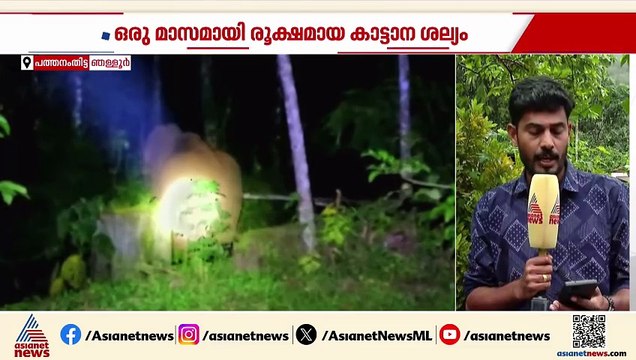 അർധരാത്രിയിൽ വീടിന് മുന്നിലെത്തിയ ഒറ്റയാൻ കൃഷി നശിപ്പിച്ചു, കോന്നിയിൽ കാട്ടാനശല്യം രൂക്ഷം