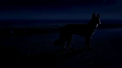 Bones new Hollywood movie #fyp