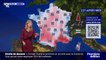 Miniature DailyMotion