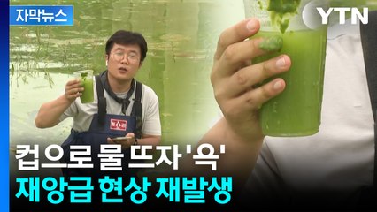 [자막뉴스] 죽음의 녹색으로 뒤덮였다...막막한 상황 / YTN