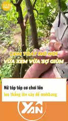 NỮ TÓP TÓP CƠ CHƠI LỚN, leo thẳng lên cây để mukbang