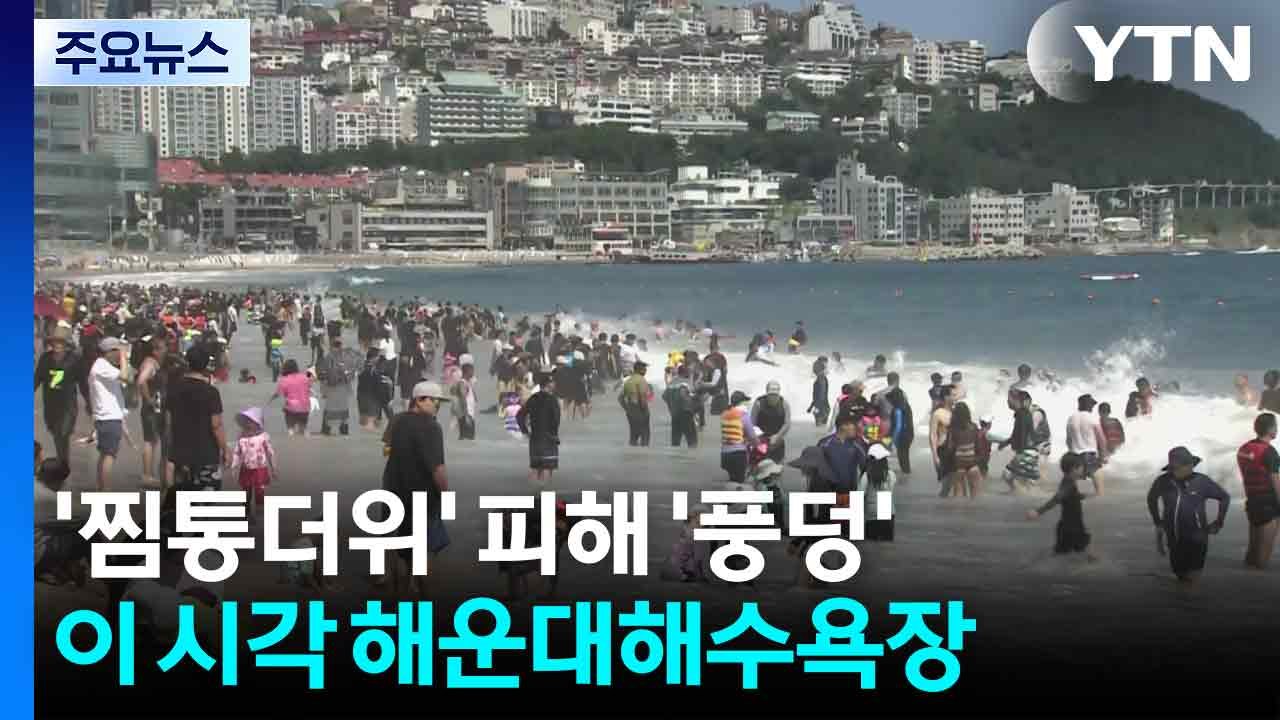 '찜통더위' 피해 '풍덩'...이 시각 해운대해수욕장 / YTN