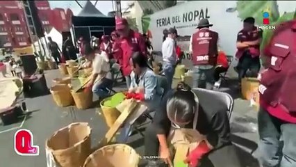 Quitar espinas nunca fue tan competitivo | Qué Importa