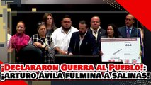 🔥🚨¡LE DECLARARON LA GUERRA AL PUEBLO! ¡La SOBRINA de SALINAS es ARRASADA por ARTURO ÁVILA!