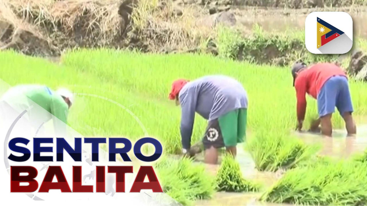 Mga magsasaka, magiging benepisyaryo na rin ng 'Benteng Bigas, Meron na' program pagdating ng Aug. 13