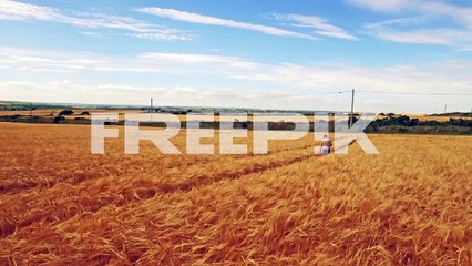 aerial view of farmer walking through his fields