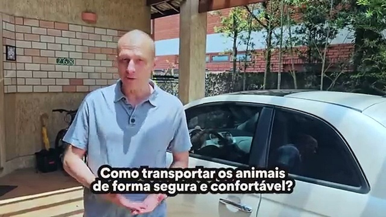 Why does the dog vomit in the car?