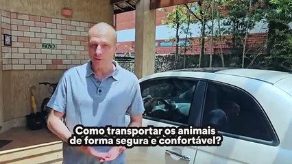 Why does the dog vomit in the car?