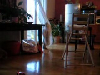 Titouan joue avec le rideau