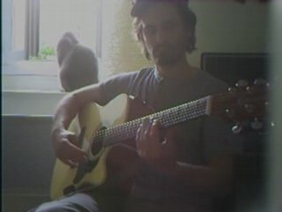 Le chat sur la fenêtre