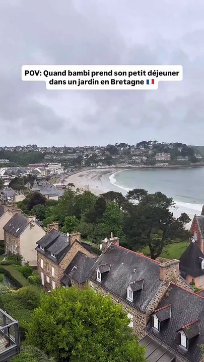 Quand tu prends ton petit déjeuner face à la mer