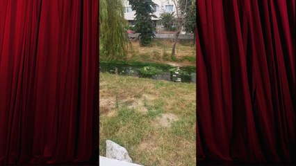 “Hayatım Boyunca Böyle Kötü Bir Belediyecilik Görmedim!”