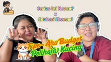 Suka Duka Pelihara Kucing