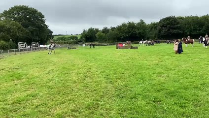Powerful equestrian displays at Launceston Show 2025