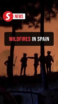 Spanish military emergency units battle wildfires in Caceres, Avila provinces