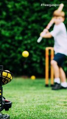 The Future of Wooden Cricket Bats: A Tradition Worth Preserving