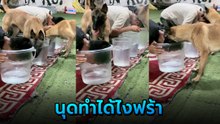 ตูบงง ! นุดหายใจในน้ำ นานมากได้ไง ? แกล้งเนียนจนหมาทำตาม