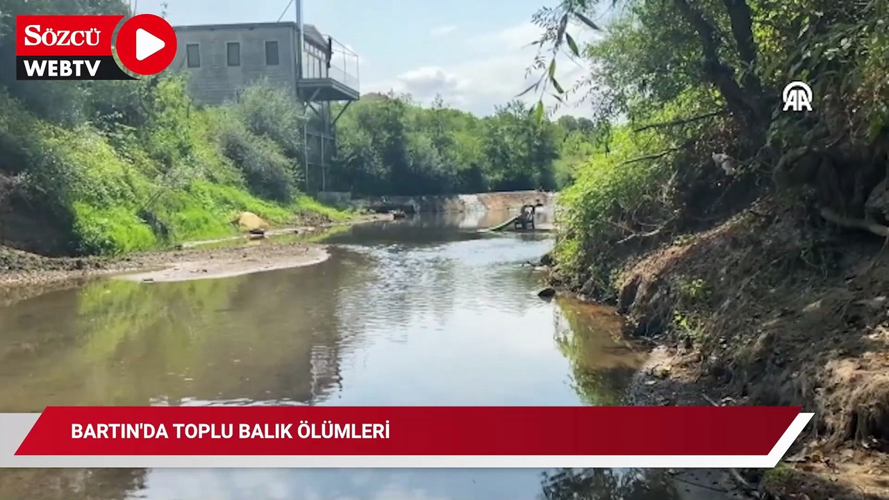 Bartın'da toplu balık ölümleri