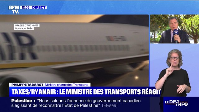Suppression de dessertes de Ryanair: le ministre des Transports souhaite que la taxe de solidarité sur les billets d'avion ne soit pas reconduite ou baissée