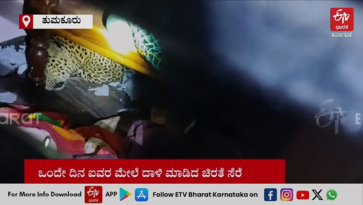 ತುಮಕೂರು: ಒಂದೇ ದಿನ ಐವರ ಮೇಲೆ ದಾಳಿ ಮಾಡಿದ ಚಿರತೆ ಸೆರೆ