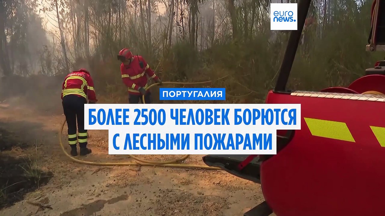 2500 человек борются с пожарами в Португалии