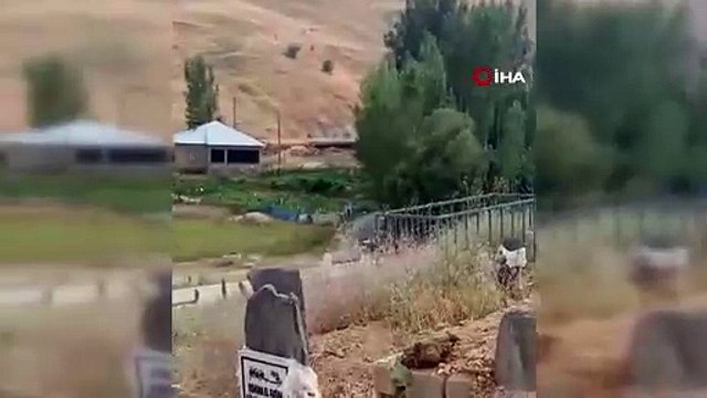 10 Gündür Sahibinin Mezarının Başından Ayrılmıyor!