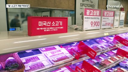 “쌀·소고기 시장 추가 개방 않기로 합의”