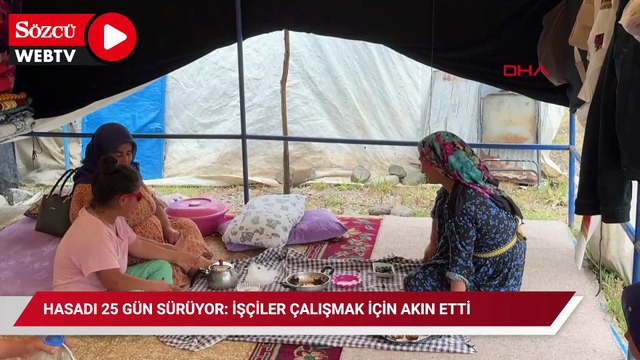 Hasadı 25 gün sürüyor: İşçiler çalışmak için akın etti