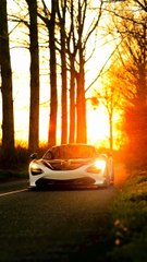 "Billionaire Rides: Ultimate Luxury Car Collection 2025"