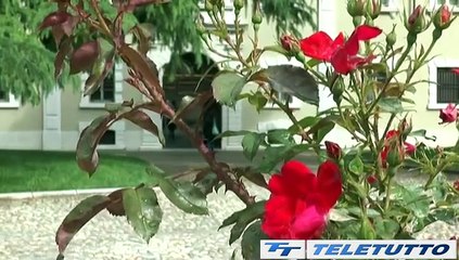 Video News - Agosto, musei gratuiti per i bresciani