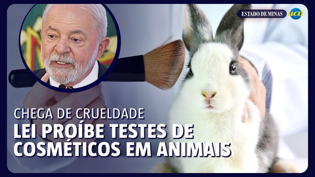 Lula sanciona lei que proíbe testes em animais para a produção de cosméticos