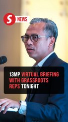 Virtual briefing with Madani community and Nadi reps on 13MP tonight, says Fahmi