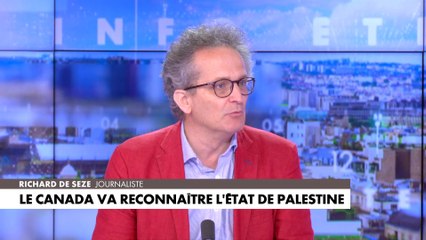 Richard de Seze : «C'est une manœuvre politicienne d'Emmanuel Macron»