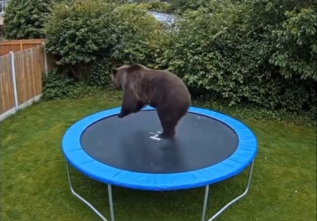 Trampoline