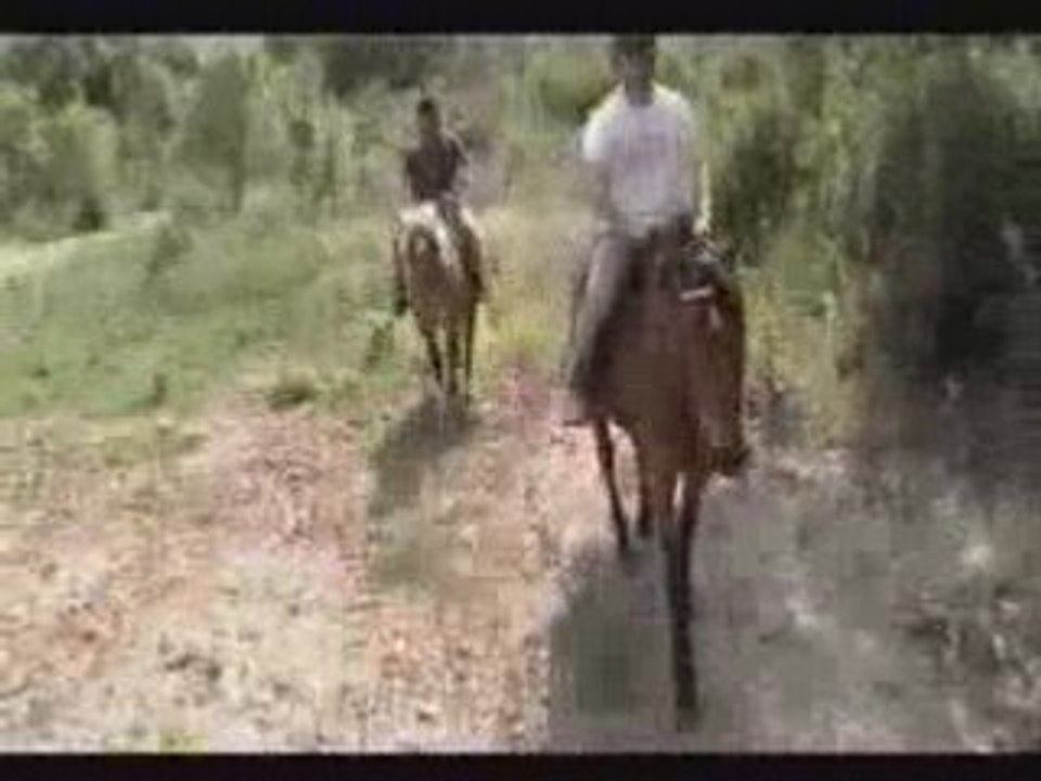 Ma balade avec juju