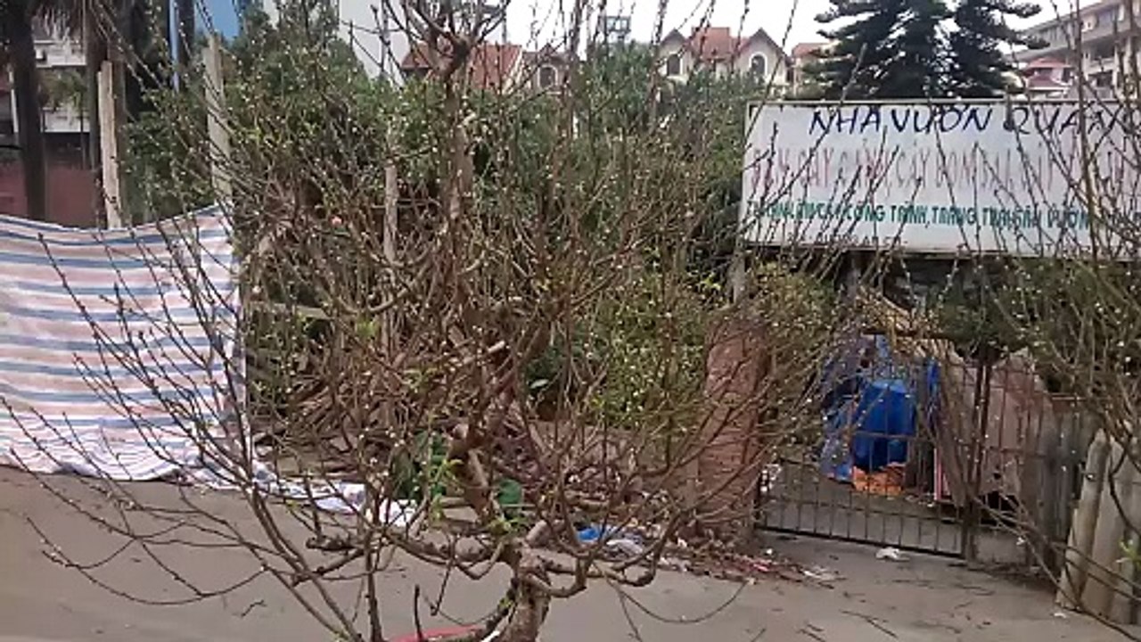 Quảng An, Hà Nội