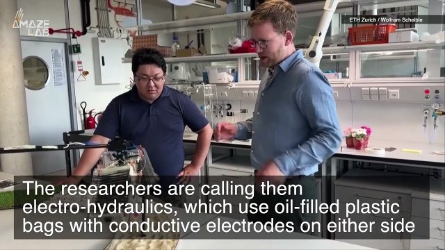 The Locomotion of Future Robots Could Be Helped By This Artificial Muscle