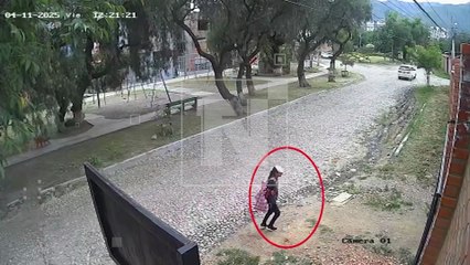 ‘Roba perros’ operaba desde hace meses, más víctimas la reconocieron y denunciaron