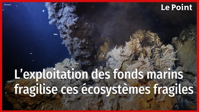 « L'exploitation des fonds marins fragilise ces écosystèmes fragiles »