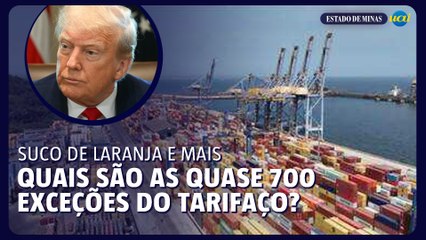 Saiba quais são os produtos que ficaram de fora do tarifaço de Trump
